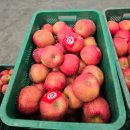 안동청과 | 안동청과 사과 공판장 경매 후기