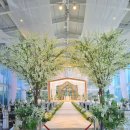 신가웨딩홀 | 💍W4_웨딩홀 투어👰🏻‍♀️🤵🏻✨ [평택 SG신가웨딩홀, 엔 팰리스 컨벤션 etc..]