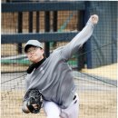 울산대파 이미지