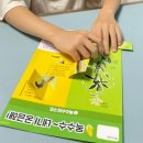 하연옥수수
