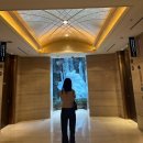 미미캣살롱&고양이호텔 | [서울/소공동] 롯데호텔 서울 메인타워 디럭스 더블룸 솔직후기 (남산타워 뷰 예약 꿀팁, 조식 후기)