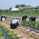 함평군농업기술센터 이미지