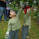 진오농장 이미지