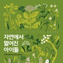 [시골 책방지기의 마음을 담은 책]자연에서 멀어진 아이들 이미지