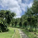 크레파스펜션 이미지