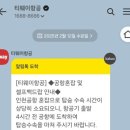 502테이블 | 시드니 티웨이 TW501-TW502 탑승 솔직후기 : 좌석·기내식·수하물 총정리