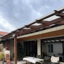 태평한 대평 이미지