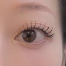 보리네뜰 | 친구 소개로 방문한 보리네눈썹가게 | 건대마스카라연장 후기