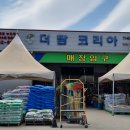 더팜코리아 이미지