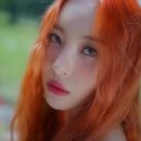 미야컴퍼니 이미지