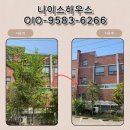 화성 건물 외벽 담쟁이 넝쿨 제거하는 방법
