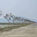 (주) 해미 이미지