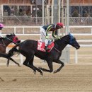 렛츠스포츠 이미지