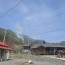 무릉도원면-49 이미지