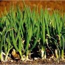 대전대학교대전한방병원 이미지