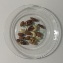 연희봉투 이미지