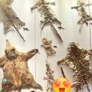 워싱턴디씨백화점 | 5박 6일 아이와 여행 1일차 2탄 :: 상하이자연사박물관, 신세계백화점 푸드코트,난징동루 동방명주 야경