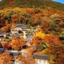 영주 부석사 무량수전 유래 주차장 : 경북여행 영주가볼만한곳 이미지