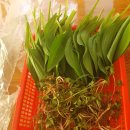 성산떡방앗간 이미지