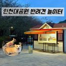 강아지 대공원 | [인천대공원 반려견 놀이터] 이용방법·입장조건·주차까지 총정리