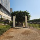 로드랜드빌리지 | 마카오 가족여행 고즈넉한 반나절 여행코스 추천 '자이언트판다 파빌리온 &amp; 콜로안 빌리지'