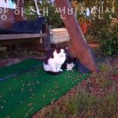 썬비치펜션 이미지