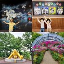 충남 청양 가볼만한곳 어린이 백제체험관 외 당일치기 여행 청양투어패스 5곳
