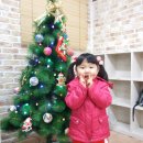 합기도세성관 이미지