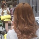 신대학길 이미지