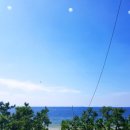 다포회타운 이미지