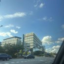 정치킨 | 🍗 판교 치맥 제대로 즐기는 곳, 정치킨 판교점 후기 🍺