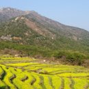 마음껏 남해 이미지