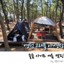 영덕식육점 | 영덕 고래불 야영장, 솔숲 사이트 여름 캠핑