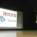 미즈79
