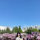 등나무근린공원 | 노원 아이와 가볼만한곳 서울시립북서울미술관 전시 소개 &amp; 카페세마 방문후기