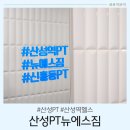 헬린이의 산성역헬스 산성PT뉴에스짐 PT후기