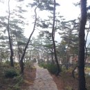 삼한국대부인순흥안씨묘 이미지