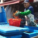 오이소홍게무한리필 이미지