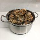 남해 사인조해산물구이 3년산 굴 포장 (장작 굴구이맛집)