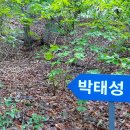 효자동 박태성정려비및묘 이미지