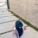 경포로 | 강릉 풀빌라 감성 숙소 서지별담 별채: 내돈내산 후기