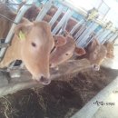 이종섭 농장 이미지