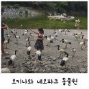 네오포유 | 오키나와 북부 나고 아이랑 갈만한 곳 네오파크 동물원 기차