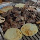 참소오리 이미지