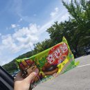 평창종합운동장 이미지