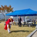 무릉도원면-13 이미지