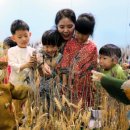 밀과보리
