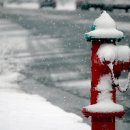 세상사는이야기 이미지