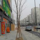 새롬동_해피라움W앞 이미지