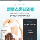벨루스퀸 네이버블로그